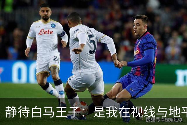 静待白马王子：是我在视线与地平线之间为你留出的可调节焦距